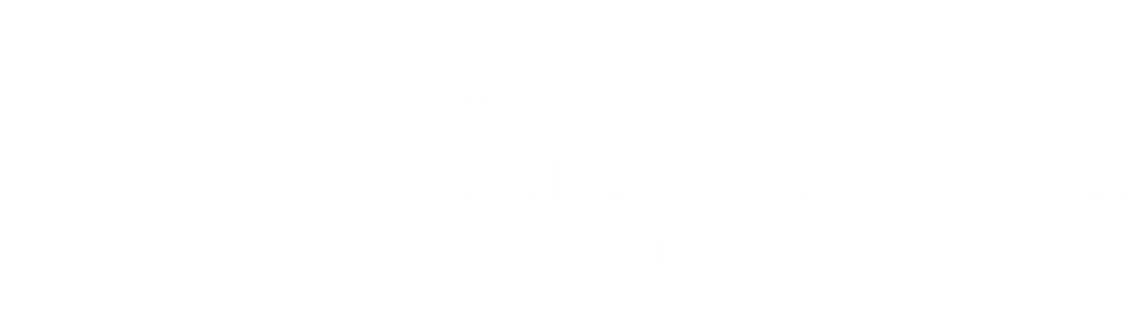 CWI in Nederland